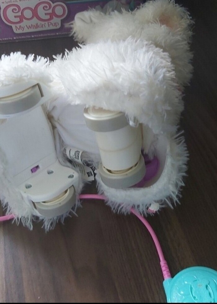 Yuruyen taklacı köpek  - Görsel 2