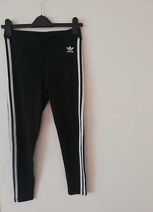 Spor tayt