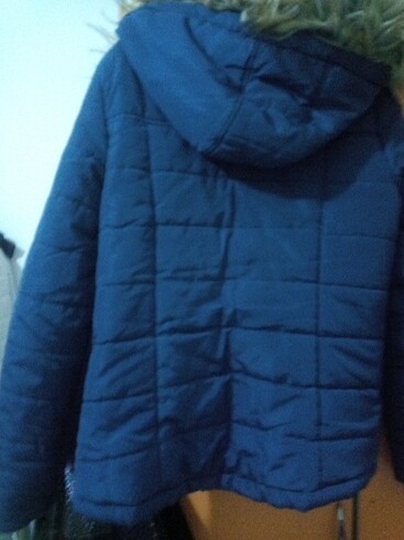 38 Beden mavi Renk Mont kaban