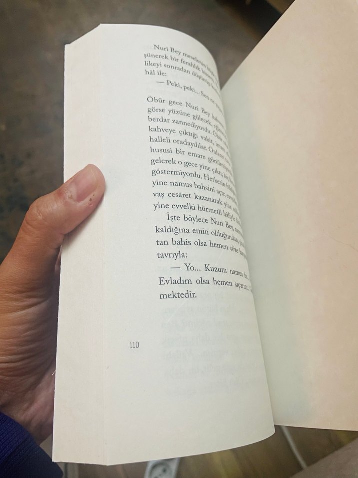 Bir Aşkın Tarihi - Mehmet Rauf - Görsel 3