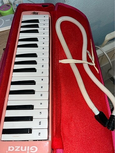 GİNZA MELODİKA
 - Görsel 2