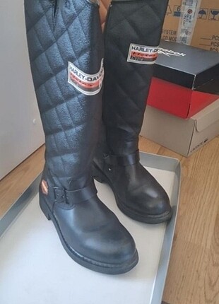 Harley davidson çizme