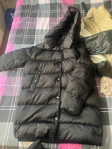 zara mont