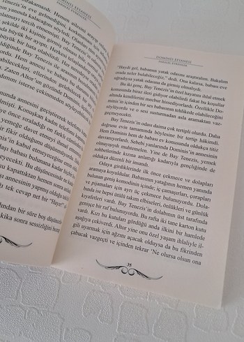 Paralel Evrenler Dominis Efsanesi - Yasemin Derya Aka - Görsel 5