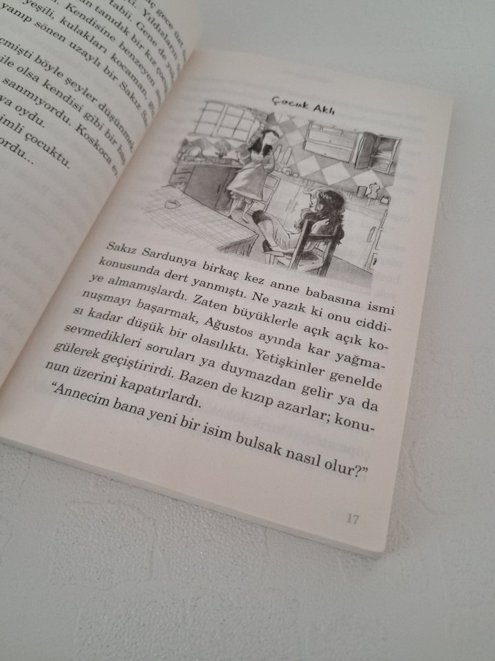 Sakız Sardunya - Elif Şafak - Görsel 4