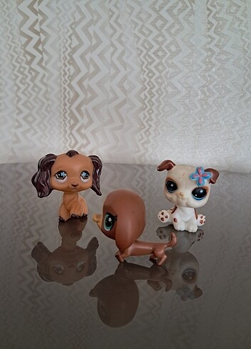 Beden Renk Little Pet Star Oyuncak