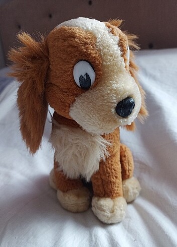 Perus köpek