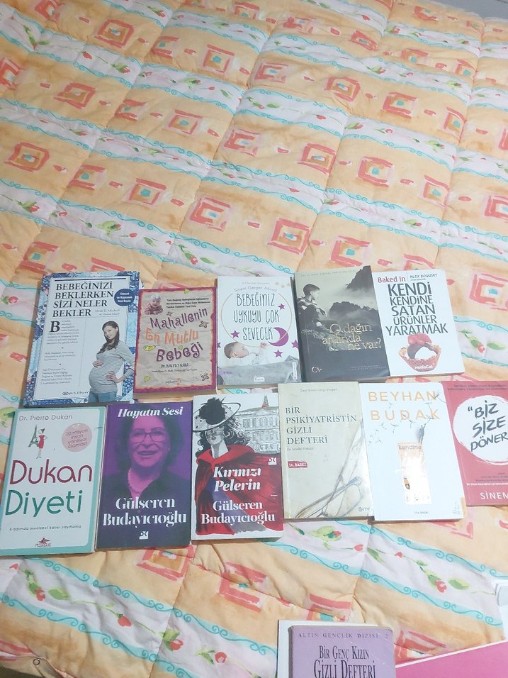 Çeşitli Roman Kitapları Koleksiyonu - Görsel 2