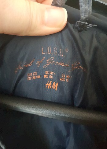 Gri Erkek kaban Orta Boy, Fermuarlı - Görsel 3