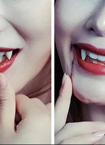 1.5cm Vampir Dişi