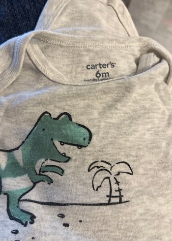 Carter's 6 Ay
