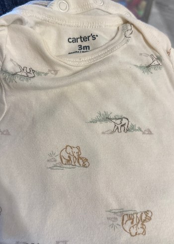 Carter's 3 Ay