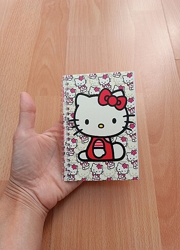 Hello kitty not defteri 