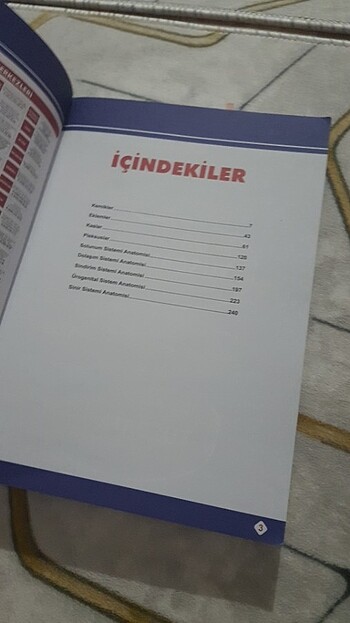  Beden TUSDATA ANATOMİ