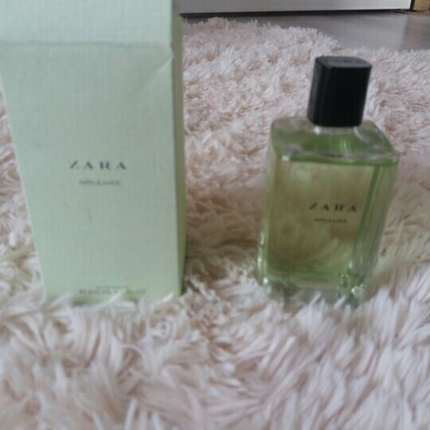 zara orijinal parfum 