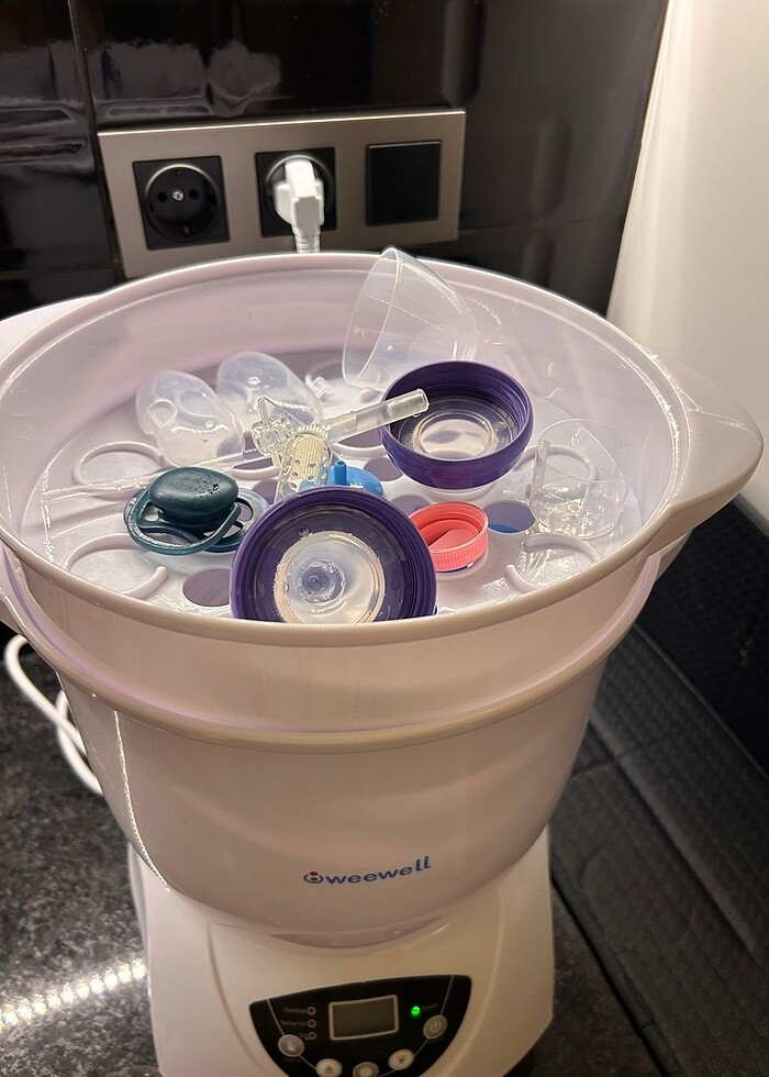 Weewell Buharlı Sterilizatör Kurutcu - Görsel 2