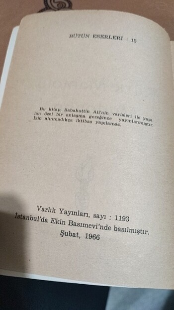 Kürk mantolu Madonna  - Görsel 5