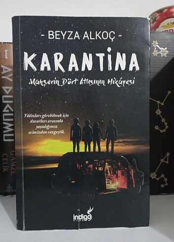 Karantina serisi
