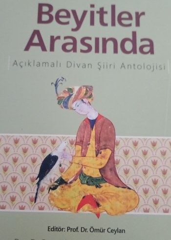 Beyitler Arasında Açıklamalı Divan Şiiri Antolojisi