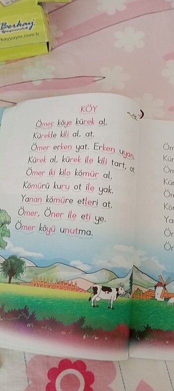 İlkokuma seti 6 kitap - Görsel 11