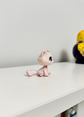 Kedi Miniş - Görsel 2