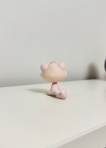 Kedi Miniş - Görsel 3