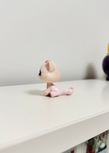 Kedi Miniş - Görsel 4