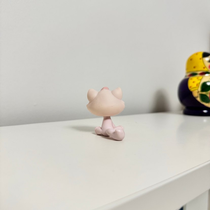 Kedi Miniş - Görsel 3