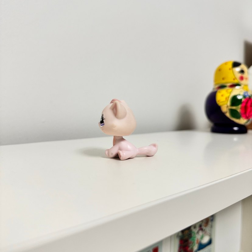 Kedi Miniş - Görsel 4