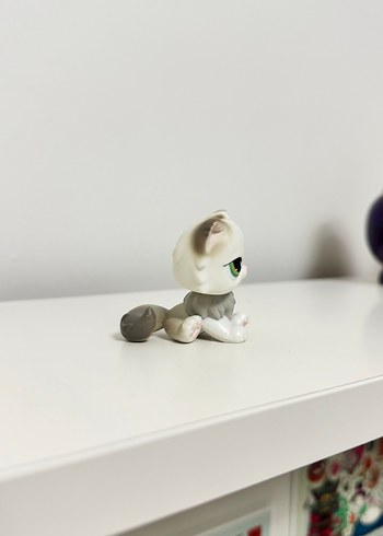 Persian İran Kedisi Miniş - Görsel 4