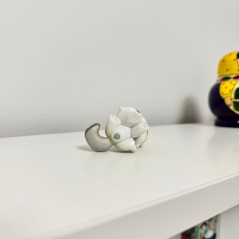 Persian İran Kedisi Miniş - Görsel 5