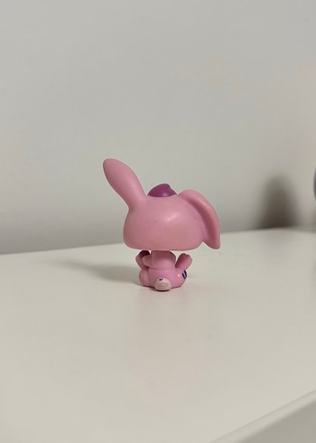 Tavşan Miniş - Görsel 2