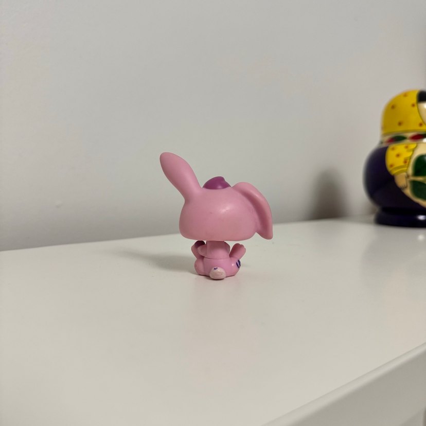 Tavşan Miniş - Görsel 2