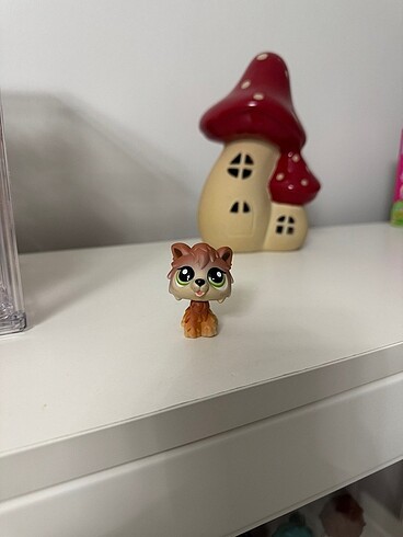 Kurt Köpek Miniş