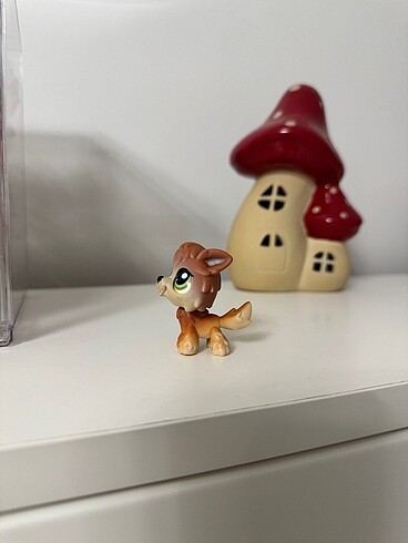 Kurt Köpek Miniş