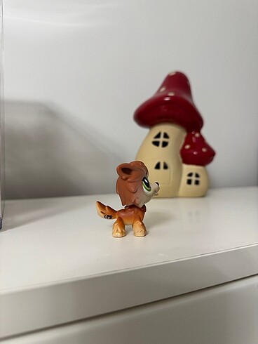 Beden Renk Kurt Köpek Miniş