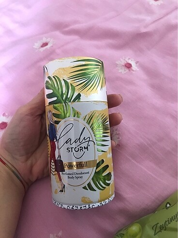 Bayan deodronat - Görsel 2