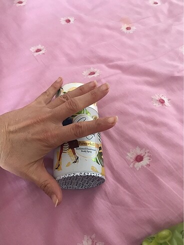 Bayan deodronat - Görsel 5