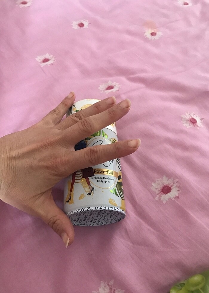 Bayan deodronat - Görsel 5