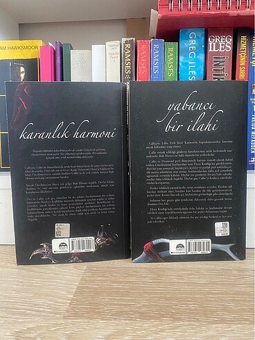 Karanlık harmoni ve Yabancı bir İlahi - Görsel 2