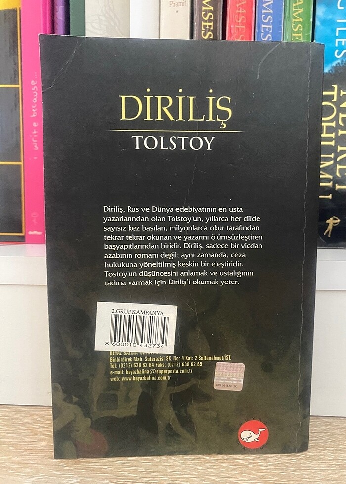 Diriliş Tolstoy - Görsel 2