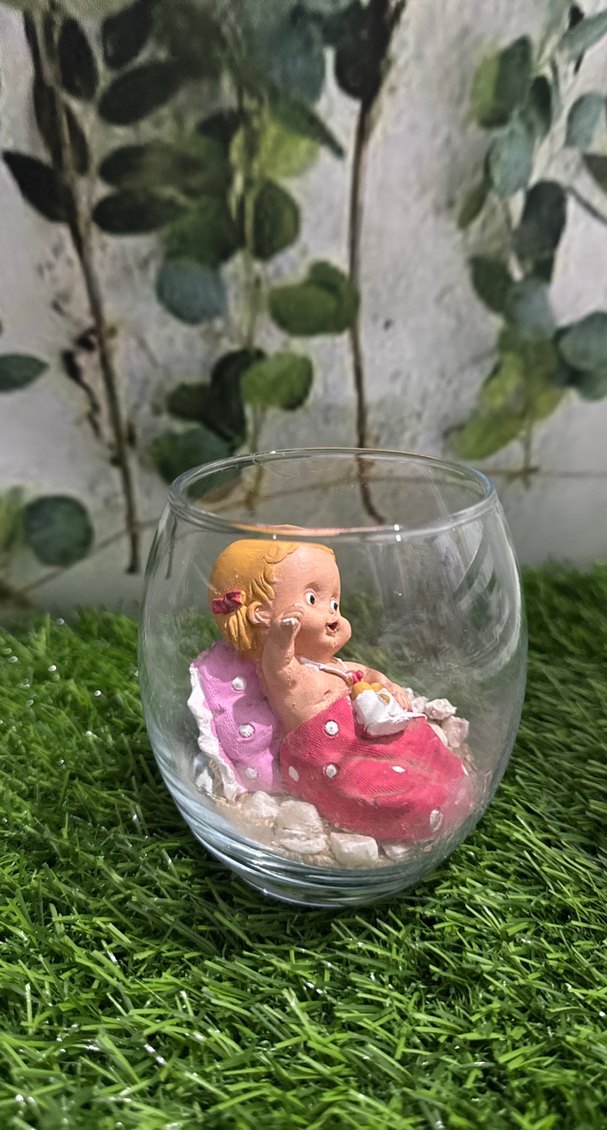 Pembe bebek Biblo Cam Fanus Teraryum - Görsel 2