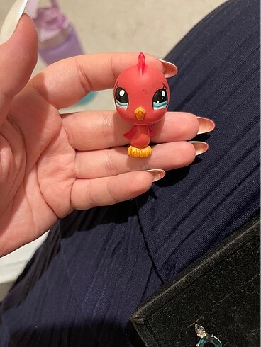 Kuş miniş