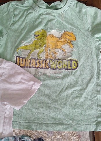 Erkek Çocuk Kısa Kollu Baskılı Tişört - Görsel 4