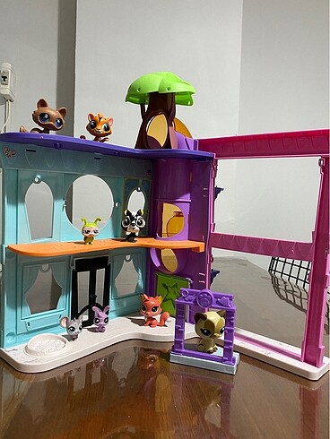Miniş evi ve minişler