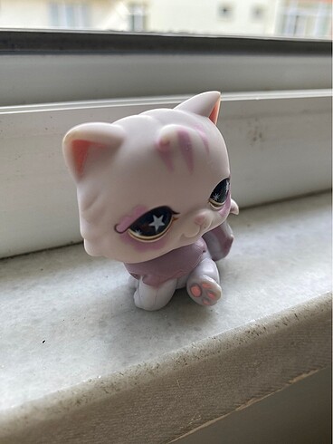  Kedi miniş sa tıl dı
