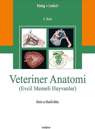 Orijinal König Veteriner Anatomi Atlası