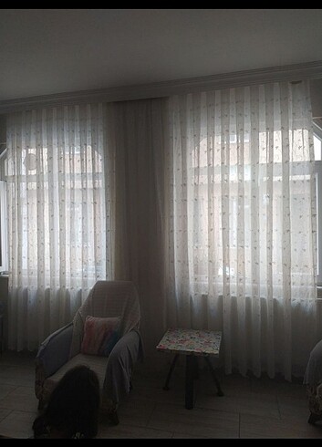  Beden Sorunsuz 