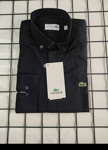 Lacoste Lacoste Erkek Gömlek 