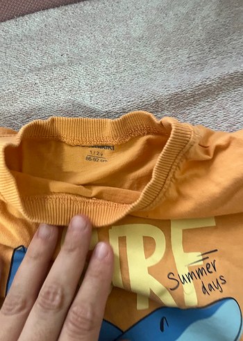 3 lü Renkli Baskılı Erkek Çocuk Kısa Kollu Tişört - Görsel 4